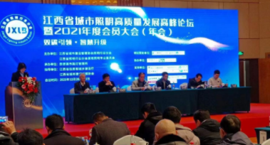 爱游戏官方网页版-爱游戏(中国)受邀参加江西省城市照明高质量发展高峰论坛